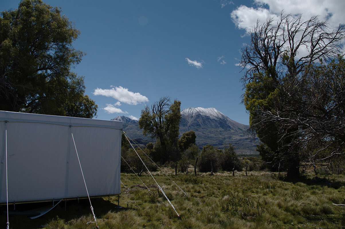 Peters Reisecontainer